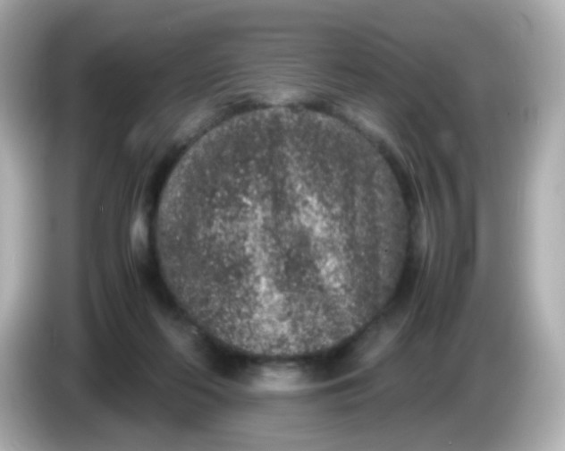 X0000086030214200704091138