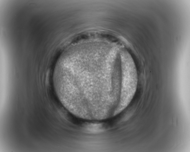 X0000086030217200704091138