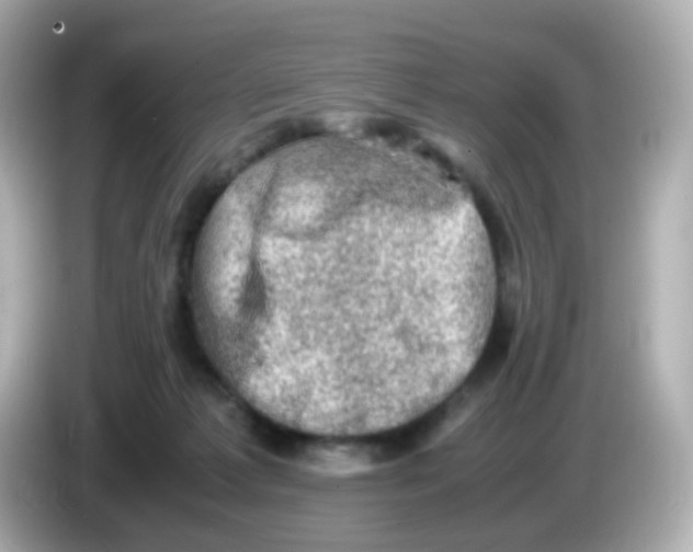 X0000086030221200704091138