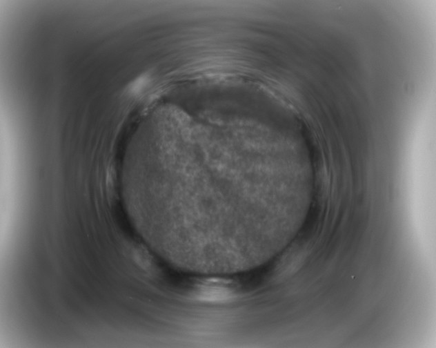 X0000086030222200704091138