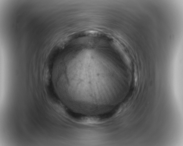 X0000086030223200704091138