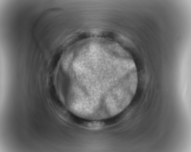 X0000086030225200704091138