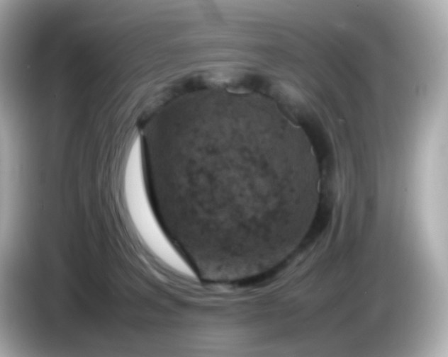 X0000086030227200704091138