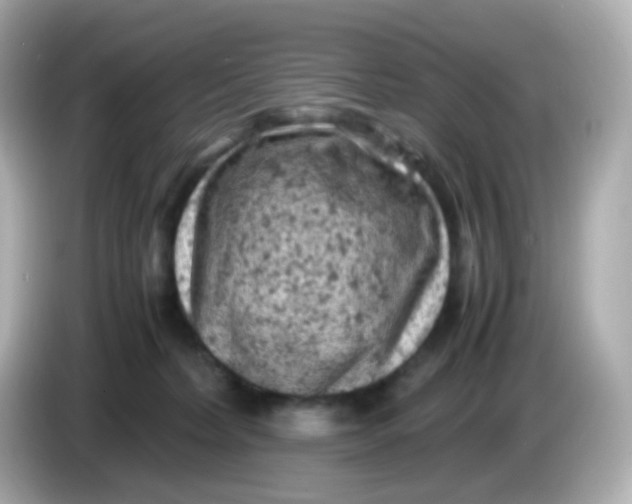 X0000086030228200704091138