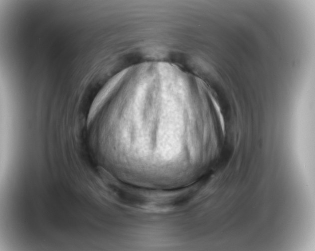 X0000086030229200704091138