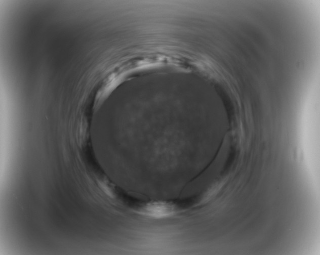 X0000086030231200704091138