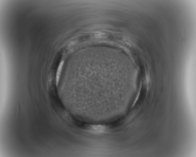 X0000086030233200704091138