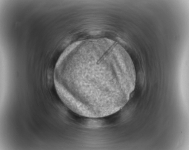 X0000086030234200704091138