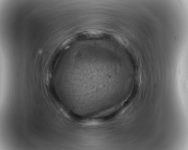 X0000086030235200704091138