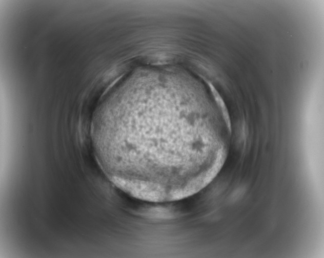 X0000086030236200704091138