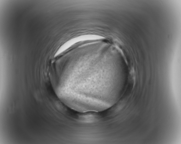 X0000086030237200704091138