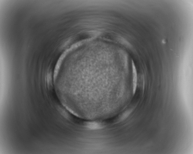 X0000086030238200704091138