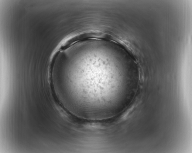 X0000086030244200704091137