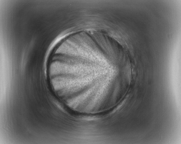 X0000086030246200704091137