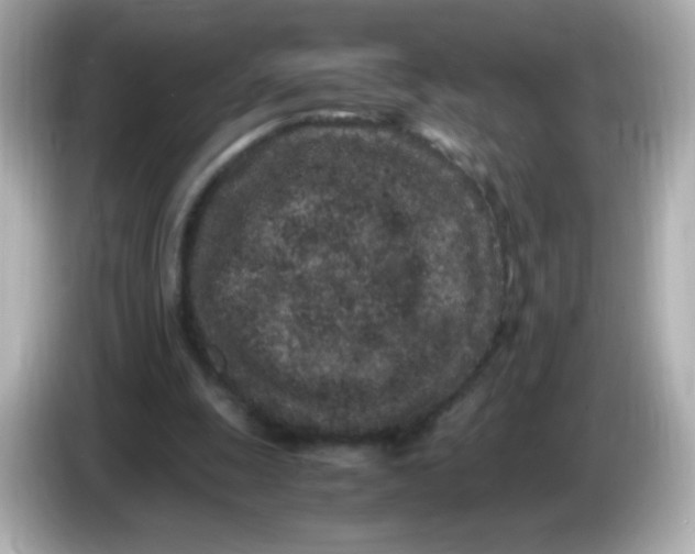 X0000086030247200704091137