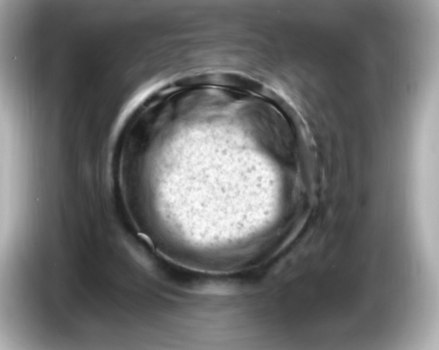 X0000086030248200704091137