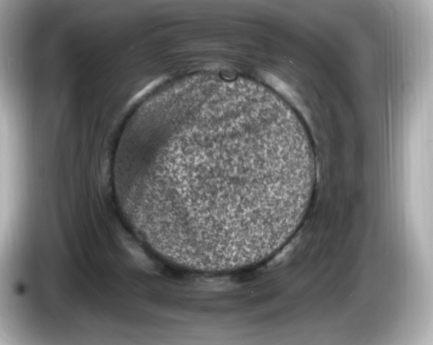 X0000086030249200704091137