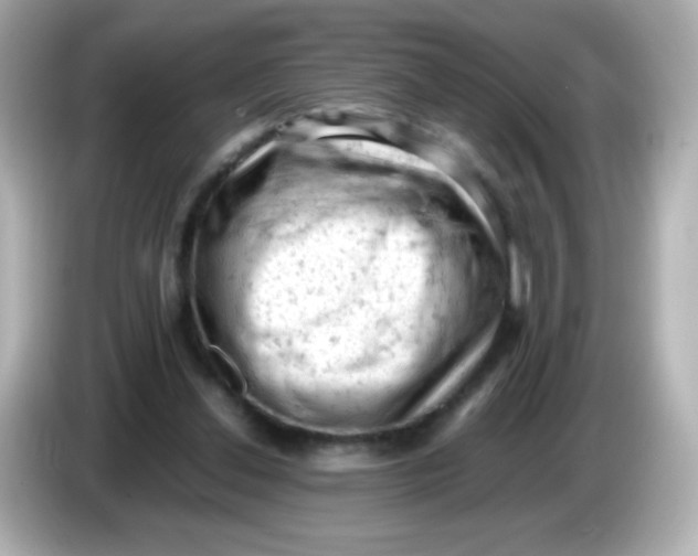 X0000086030252200704091137