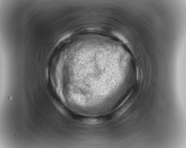 X0000086030253200704091137