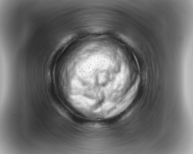 X0000086030254200704091137