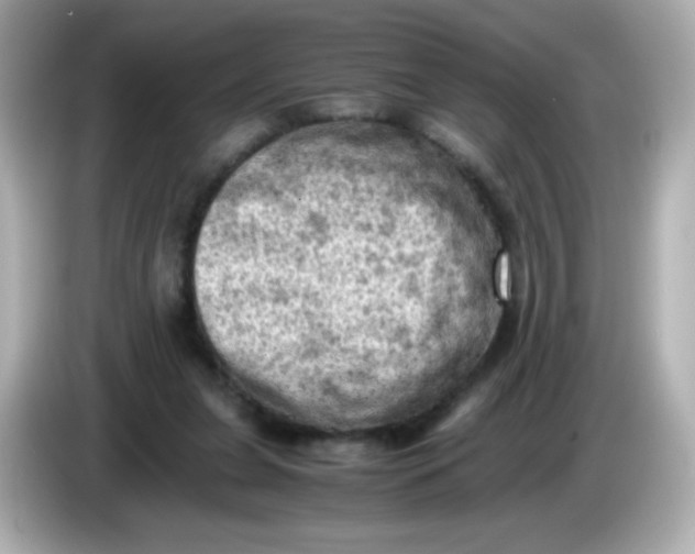 X0000086030255200704091137