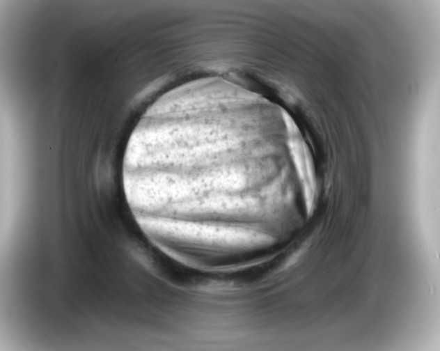 X0000086030256200704091138