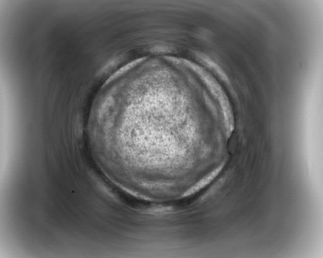 X0000086030257200704091138