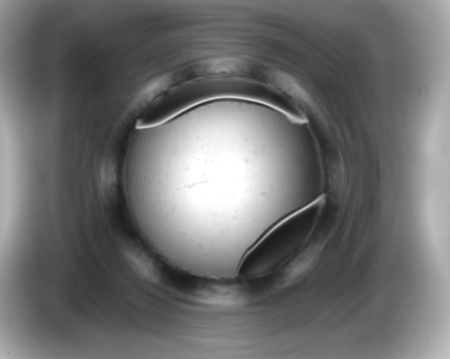 X0000086030260200704091138