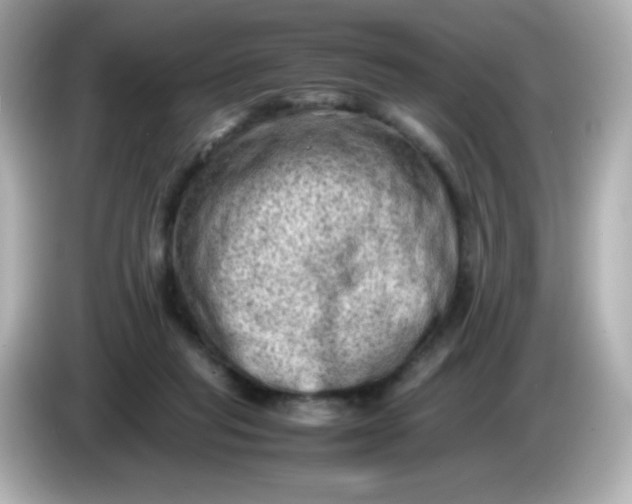 X0000086030261200704091138