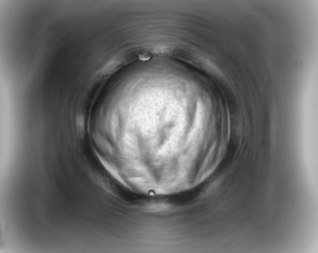 X0000086030262200704091138