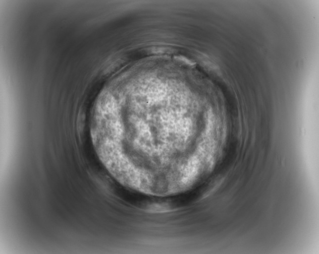 X0000086030263200704091138