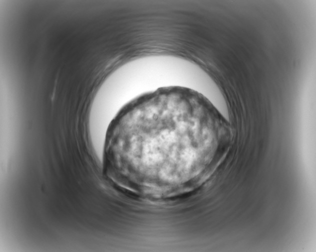 X0000086030264200704091138