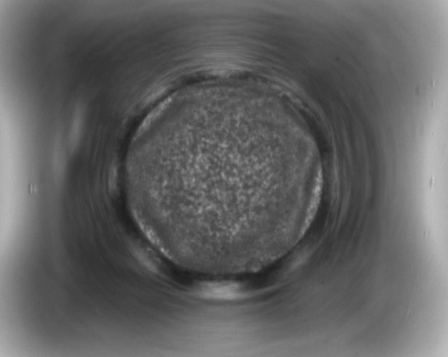 X0000086030266200704091138