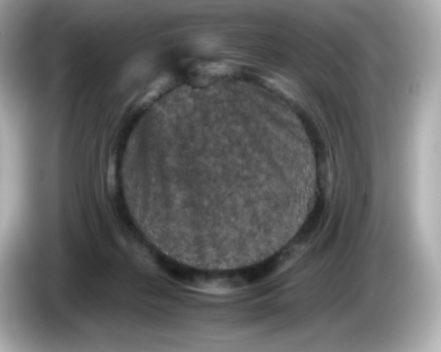 X0000086030267200704091138