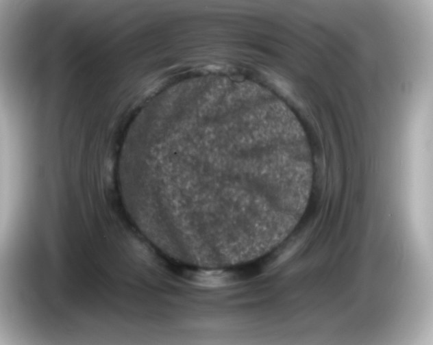 X0000086030269200704091138