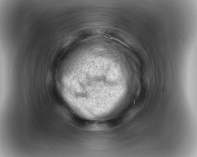 X0000086030270200704091138