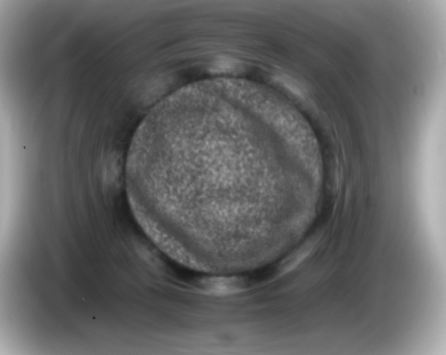 X0000086030273200704091138