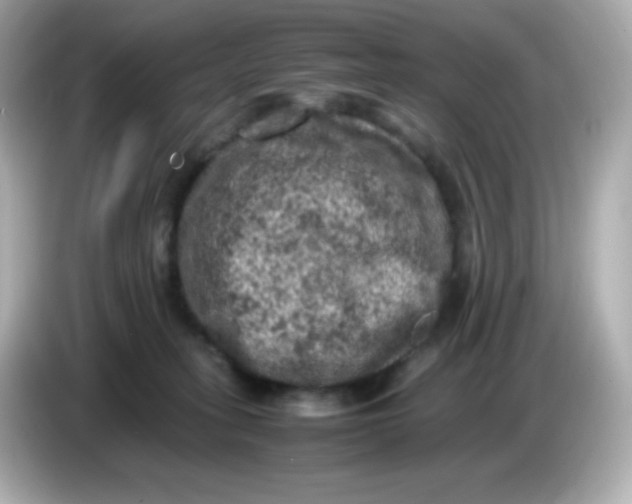 X0000086030275200704091138