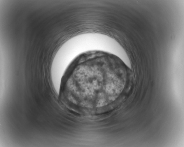 X0000086030276200704091138