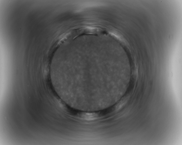 X0000086030277200704091138