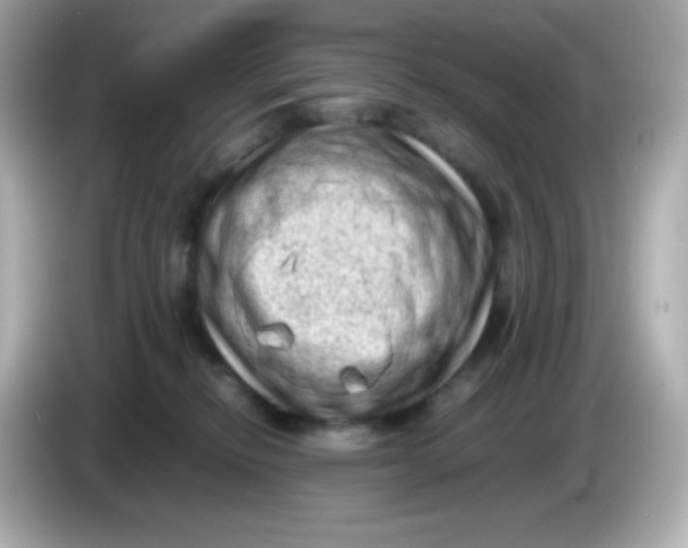 X0000086030278200704091138