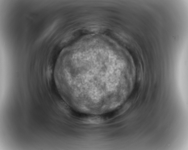 X0000086030279200704091138