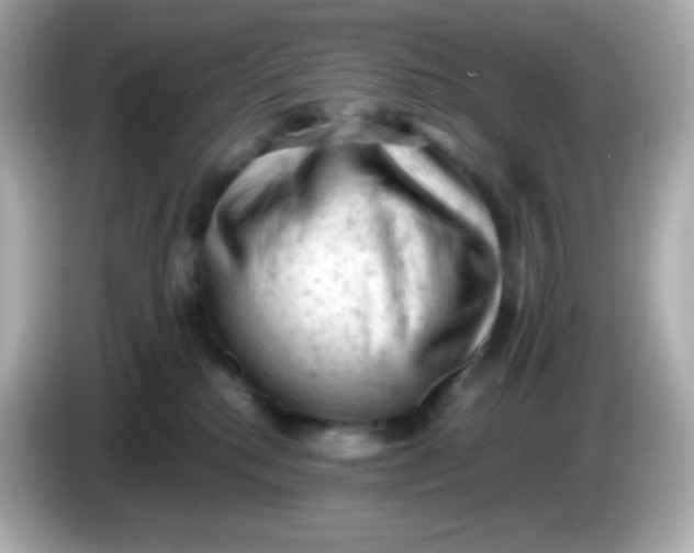 X0000086030280200704091138