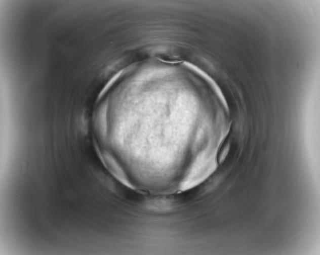 X0000086030282200704091138