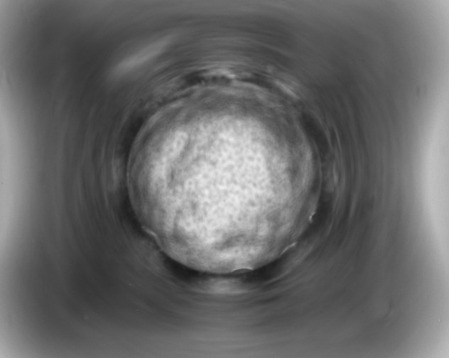 X0000086030283200704091138