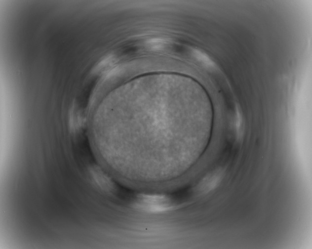 X0000086030284200704091138