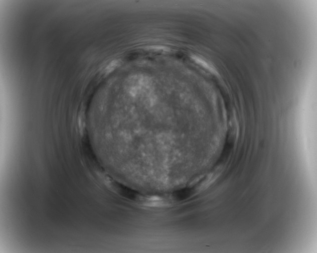 X0000086030285200704091138