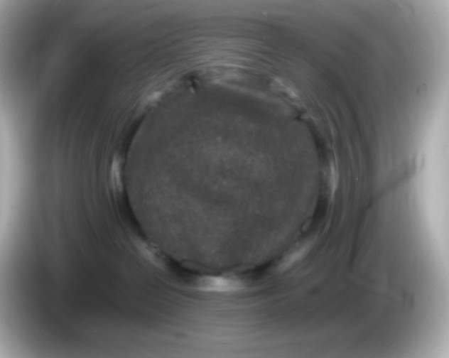 X0000086030286200704091138