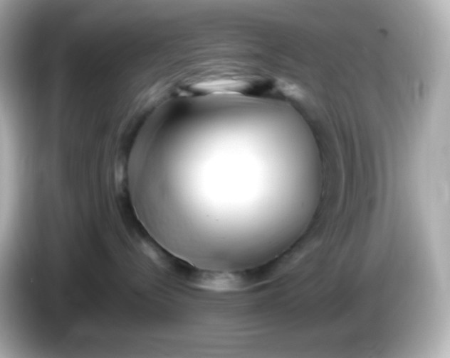 X0000086030288200704091138