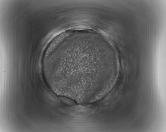 X0000086030290200704091137